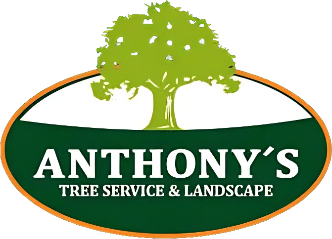 Anthony's Tree Service & Landscape logo