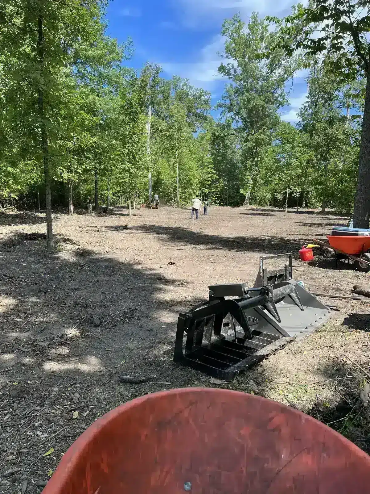 Skid steer clearing a wooded lot, serving Sheridan, IN