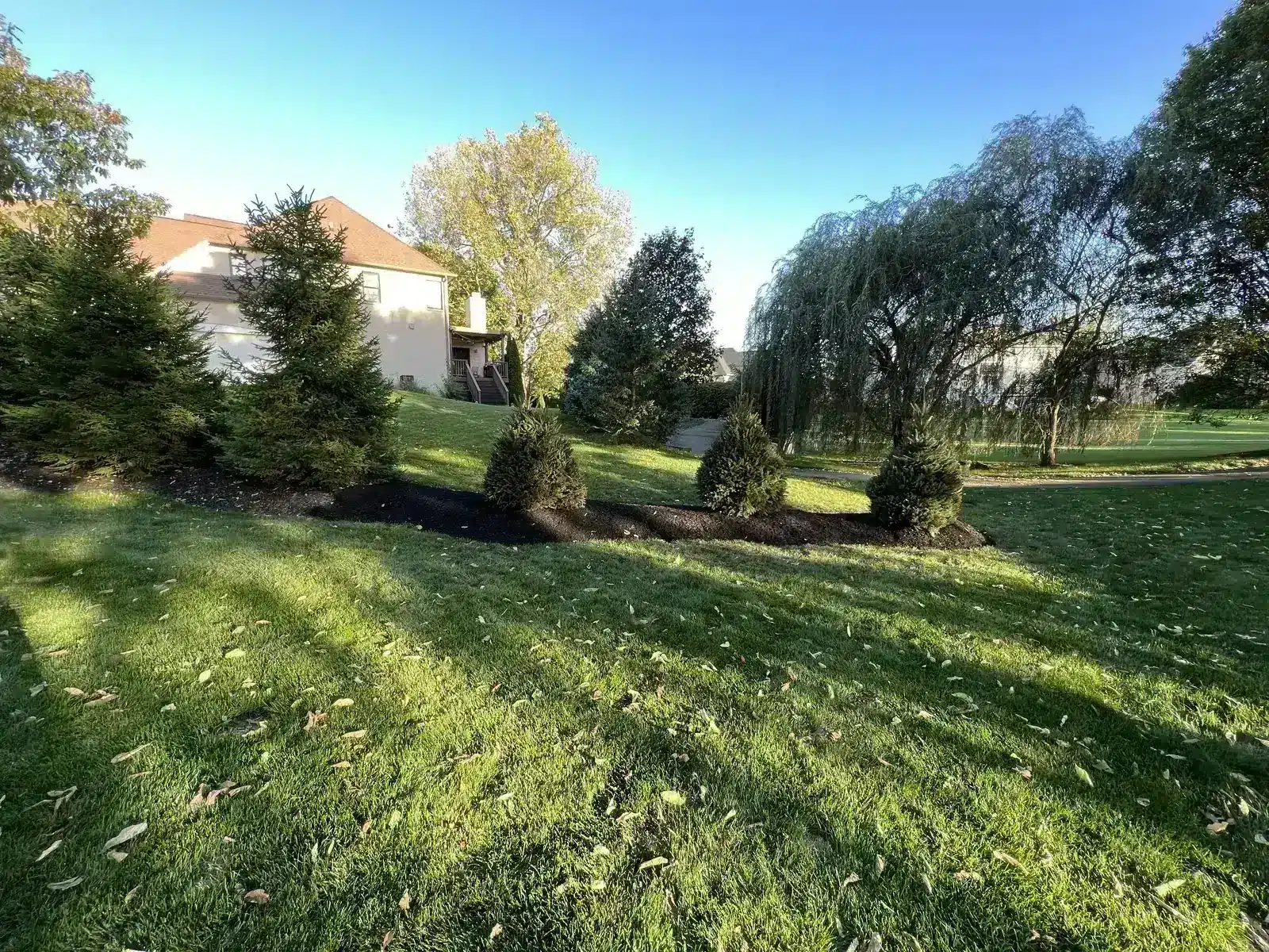 Freshly mulched landscape beds