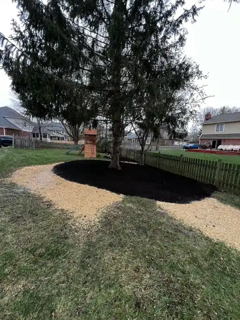 Fresh mulch bed under an evergreen next to a backyard play set in Carmel, IN