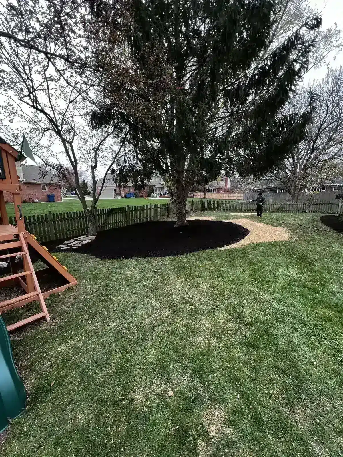 Tree ring mulched and edged, serving Zionsville, IN