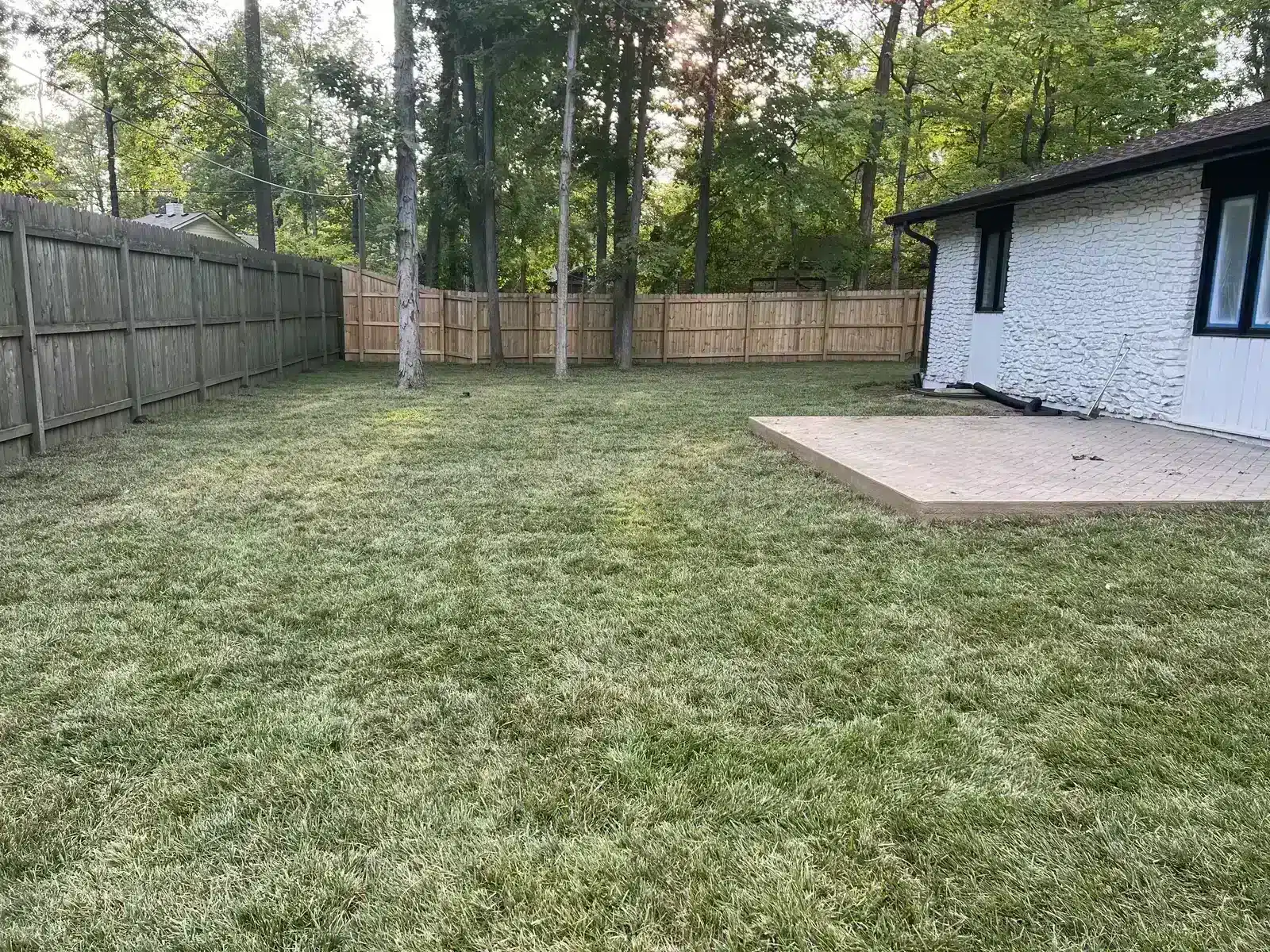 New sod lawn established in a fenced backyard, serving Whitestown, IN
