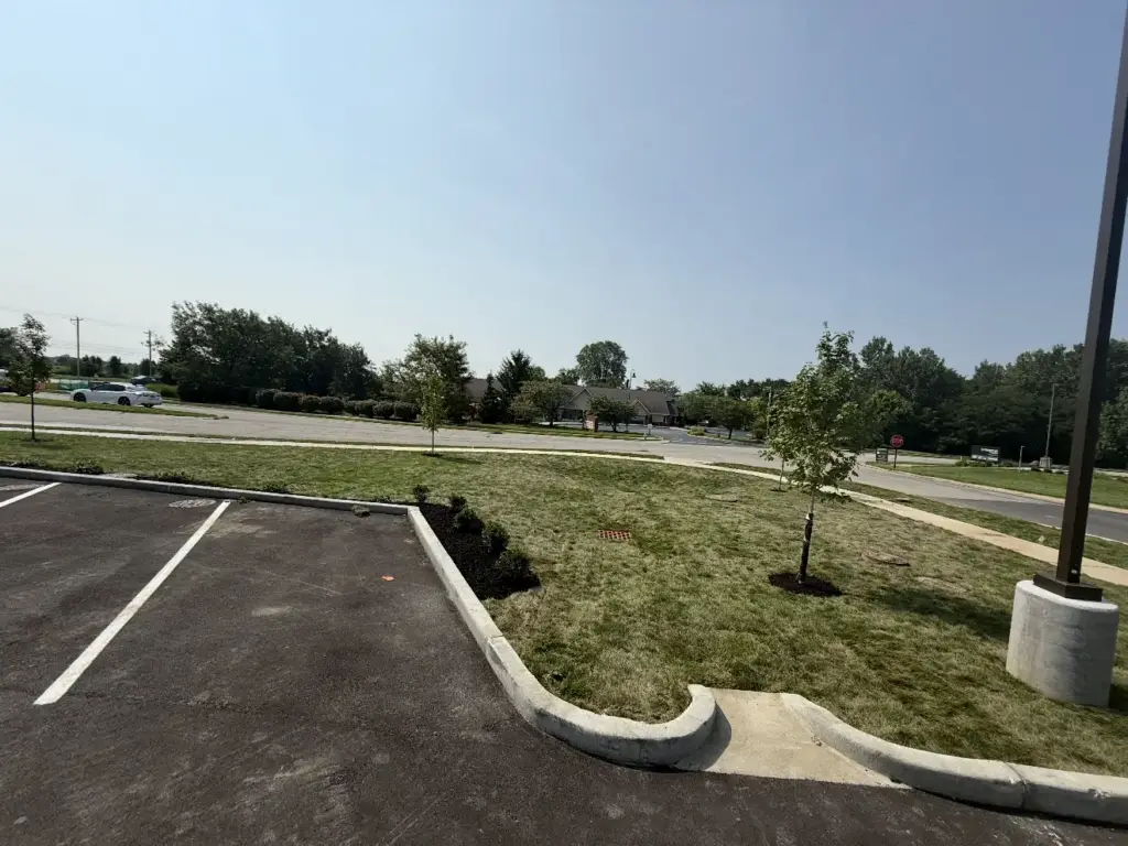 New grass established along a commercial parking lot in Carmel, IN
