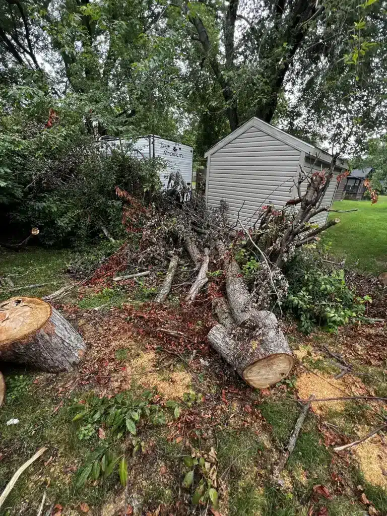 Storm debris before cleanup in Carmel, IN