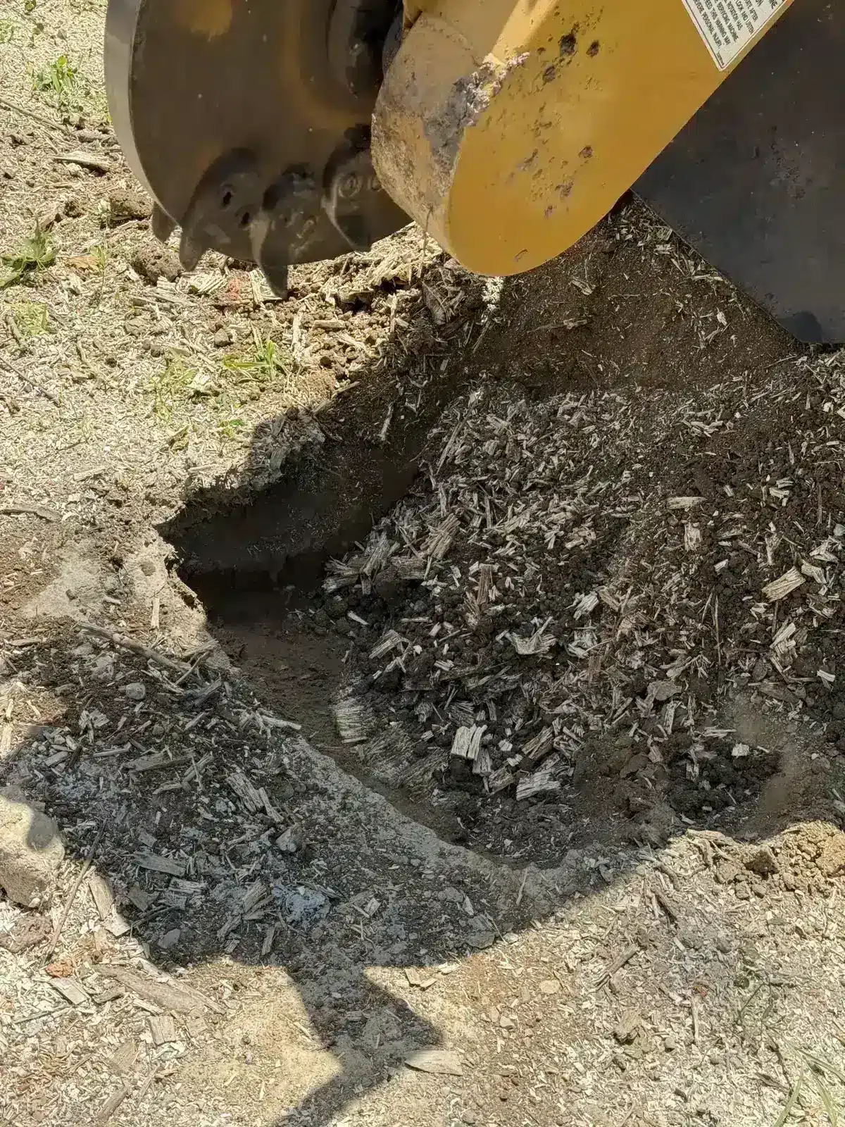 Close-up of stump grinding below grade in Carmel, IN
