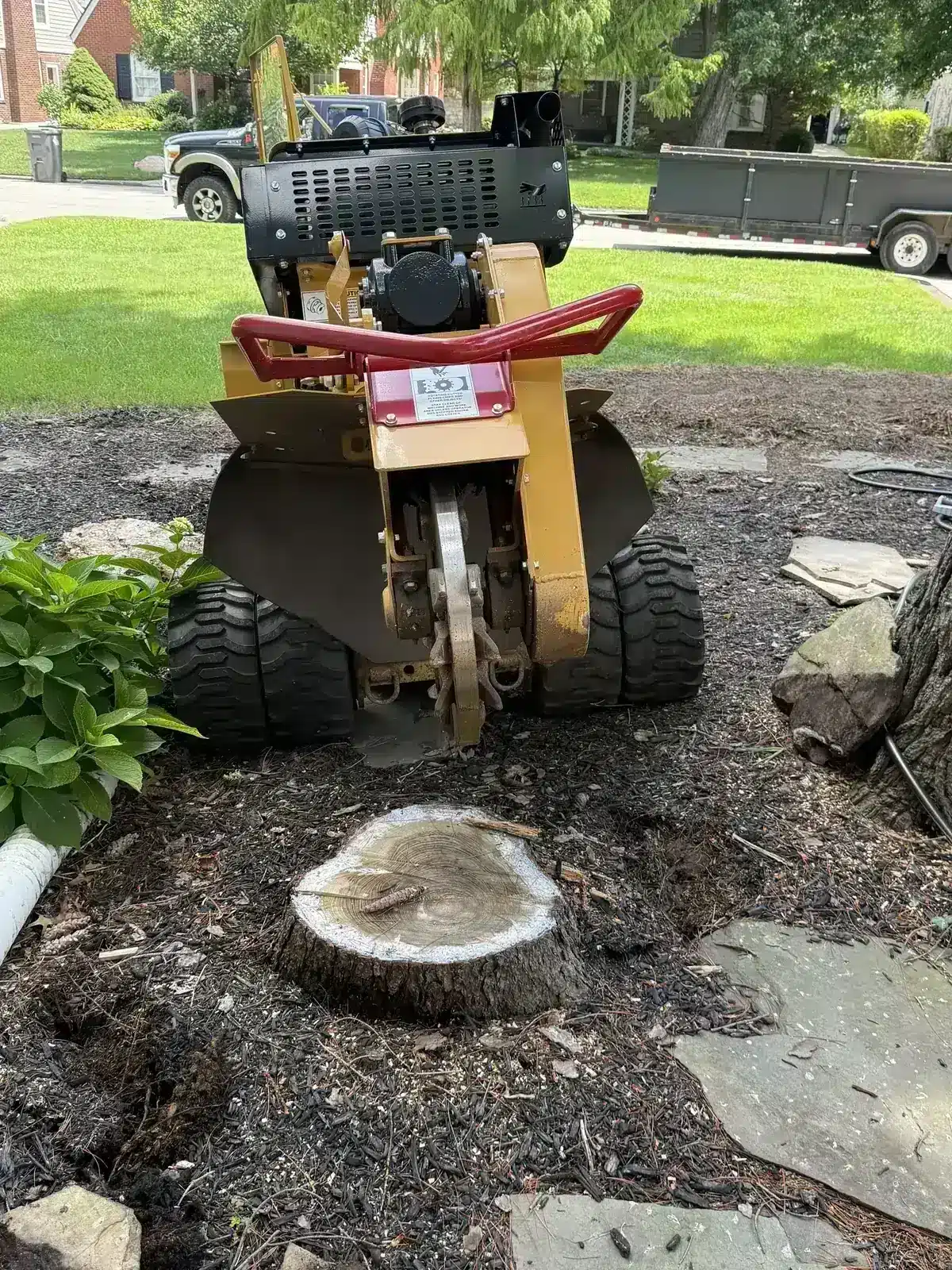 Stump grinder set up over a front-yard stump, serving Noblesville, IN
