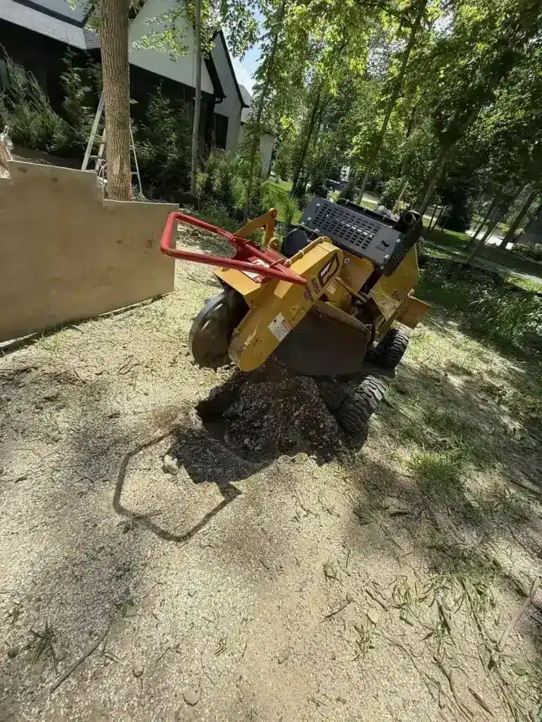 Stump grinder chewing through a stump