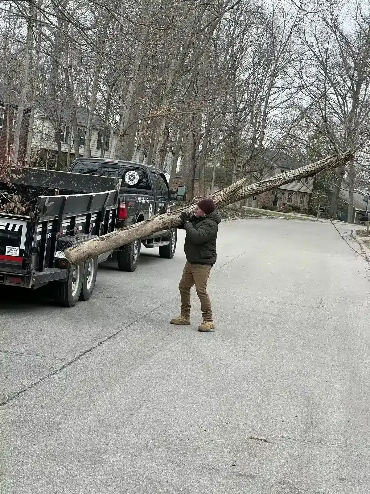 Hauling trimmed limbs to the trailer in Carmel, IN